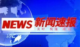 新闻爆料素材视频下载,真相与争议并存